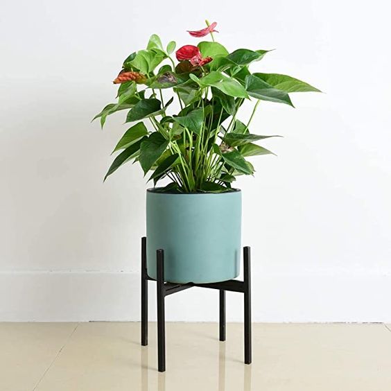 Metal Plant Stand  | MSPS-0147