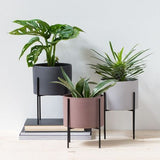 Multy Colour Plant Stand Set with Plants | MSPS-0141