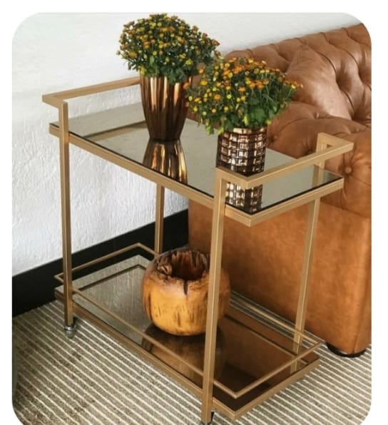 Modern Tea Trolley With Paint Finish MST-0354