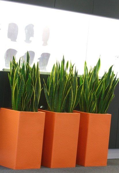 Stylish Wooden Frame Planter Pot 2.P Set | MSPS-0137