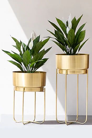 Handmade Champagne Gold Iron Planter (Set of 2) Design | MSPS-0125