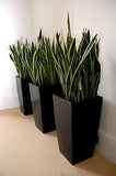 Stylish Wooden Frame Planter Pot 4.P Set | MSPS-0137