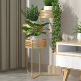 Collapsible Foldable 3-Tier Plant Stand, Indoor Decoration Rack | MSPS-0106